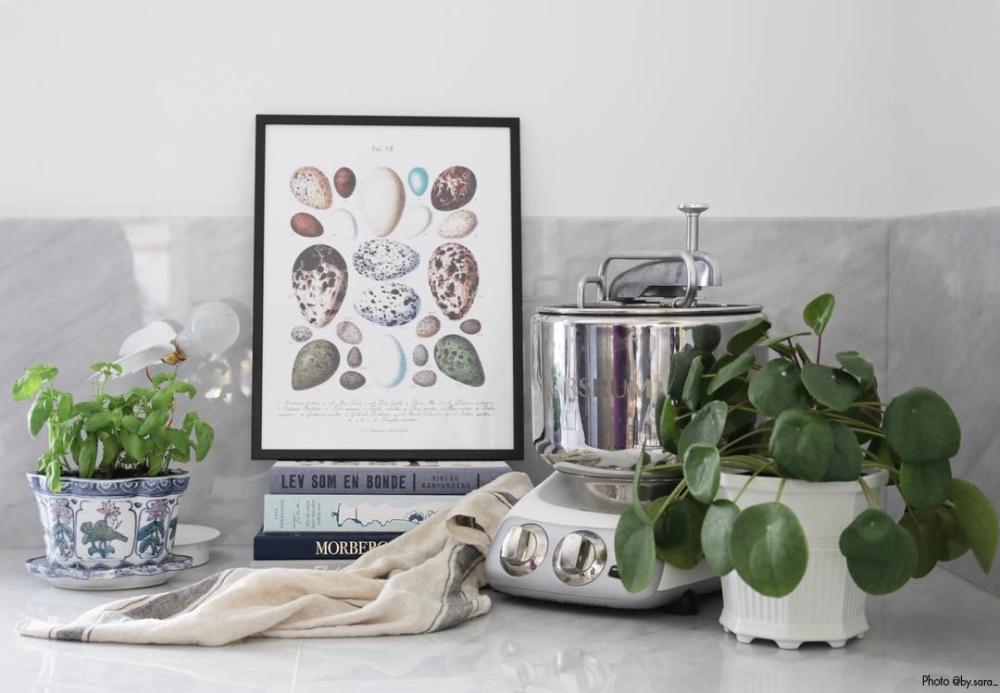 Linnumunadega poster Plakat