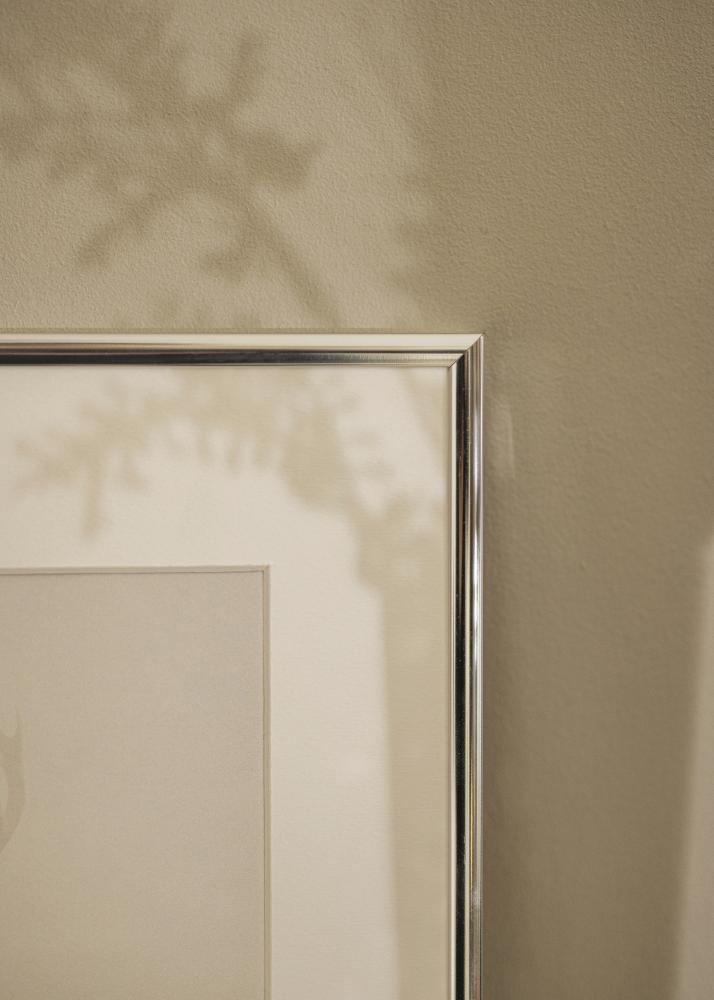 Raam alumiinium tuhm hobedane 30x40 cm - paspartuu valge 20x30 cm