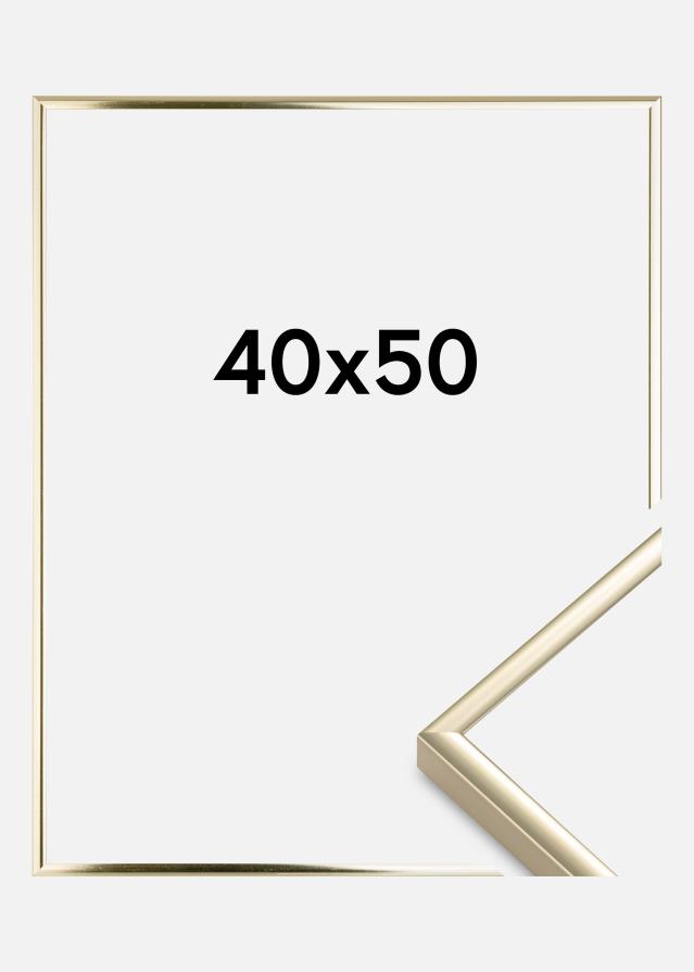 Raam alumiinium Akruulklaas tuhm kuldne 40x50 cm