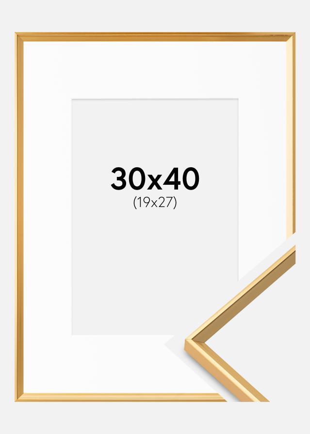 Raam Desire kuldne 30x40 cm - paspartuu valge 20x28 cm