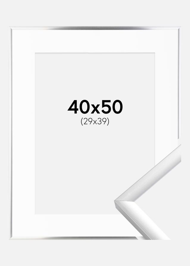 Raam New Lifestyle hobedane 40x50 cm - paspartuu valge 30x40 cm