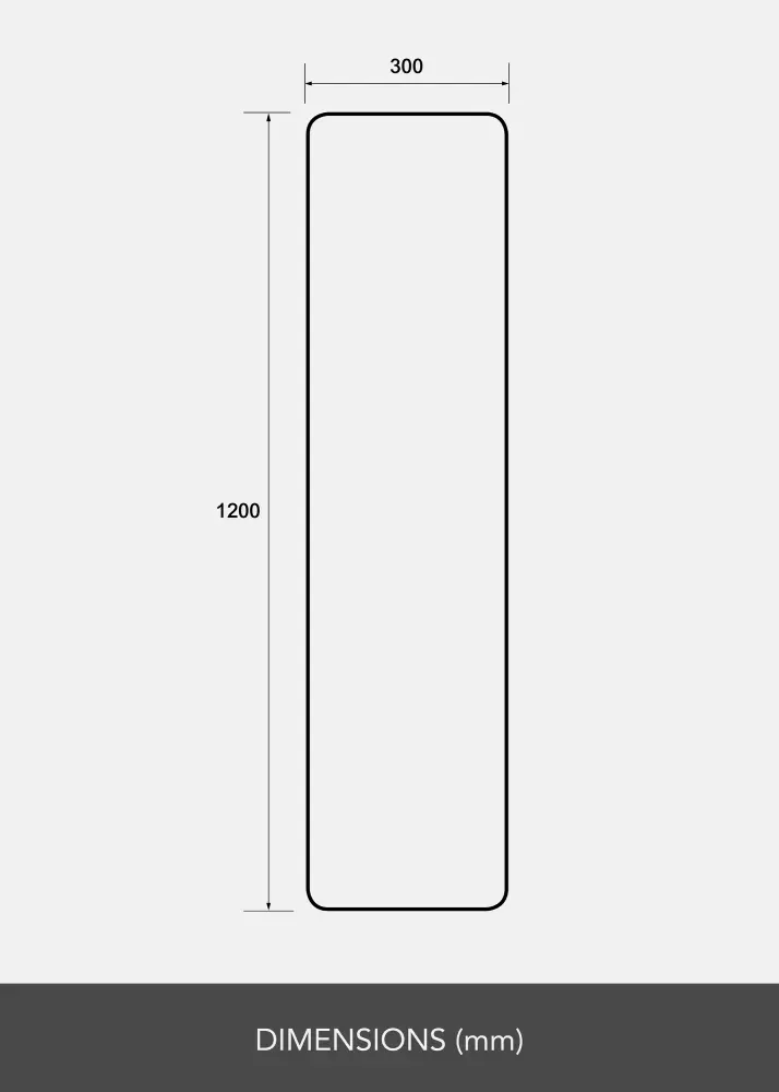 Peegel Rectangle L 30x120 cm