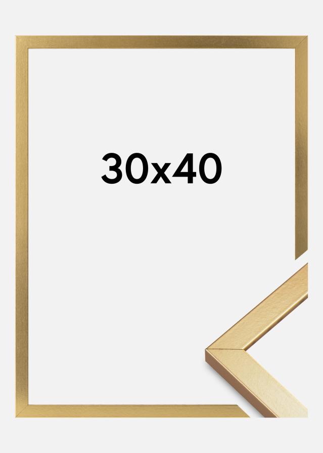 Raam Minerva Akruulklaas kuldne 30x40 cm