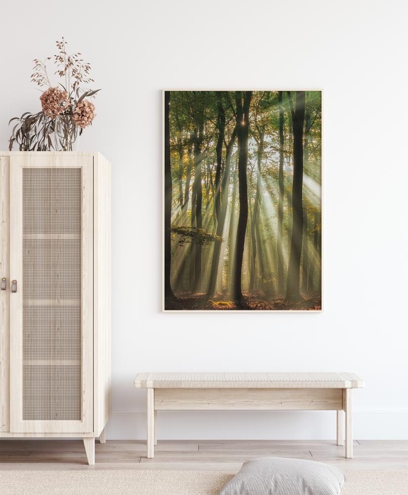 Sunny Start To The Day Plakat