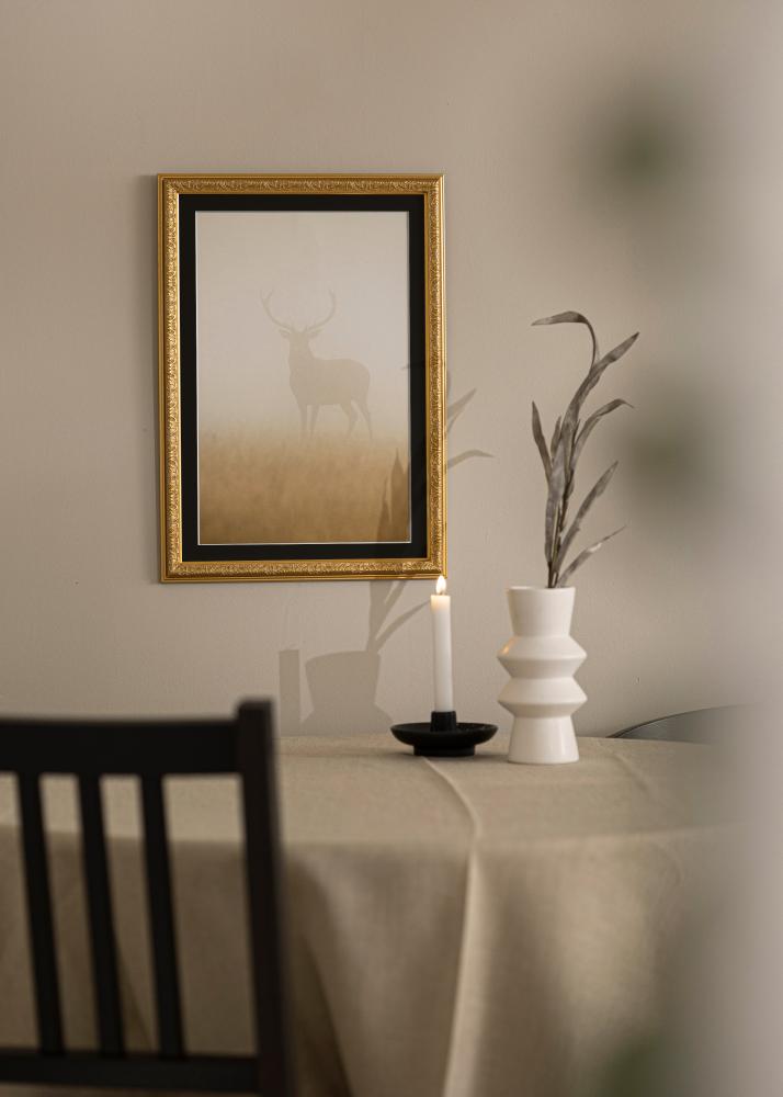 Raam Nostalgia kuldne 30x60 cm - paspartuu muster 20x50 cm