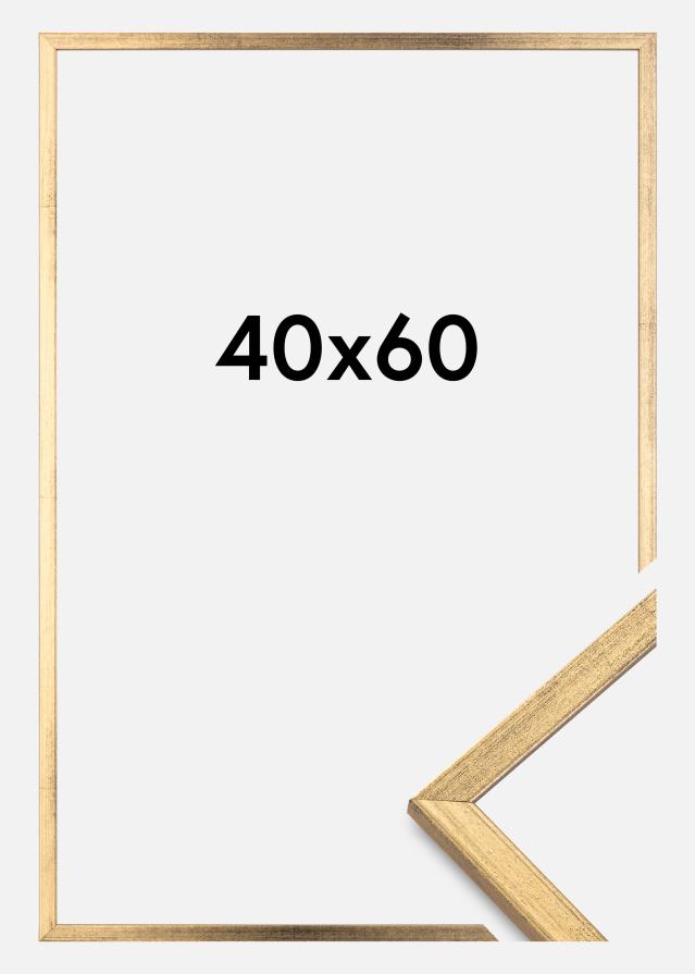 Raam Galant kuldne 40x60 cm