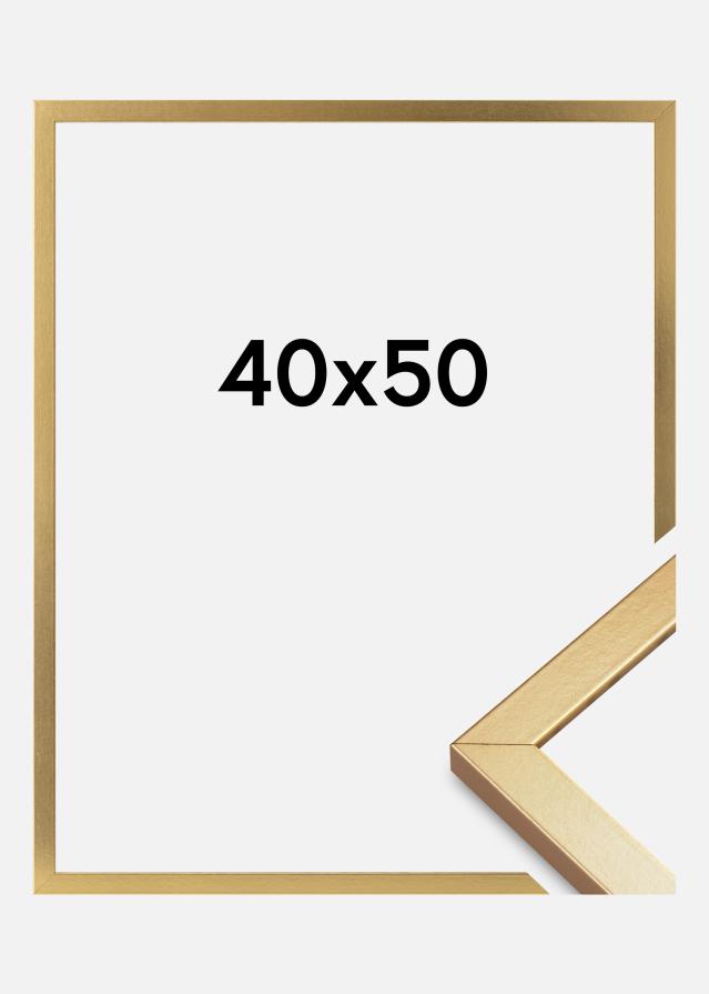 Raam Minerva Akruulklaas kuldne 40x50 cm