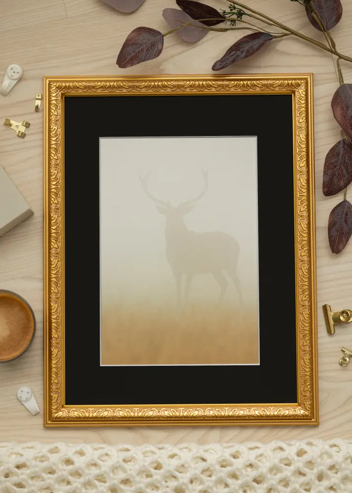 Raam Nostalgia kuldne 30x50 cm - paspartuu muster 20x40 cm
