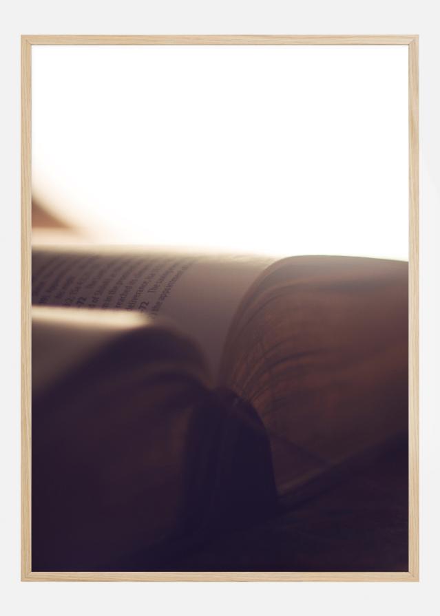 Book Of Light Plakat