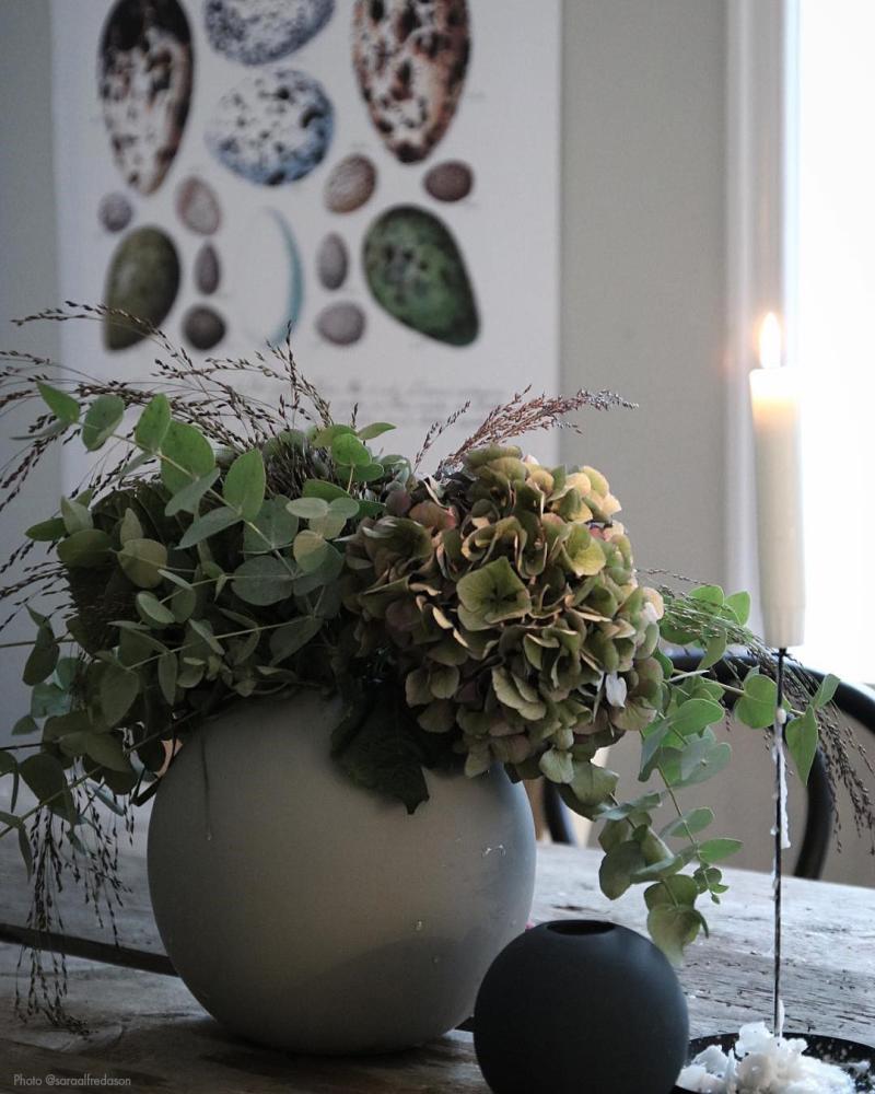 Linnumunadega poster Plakat