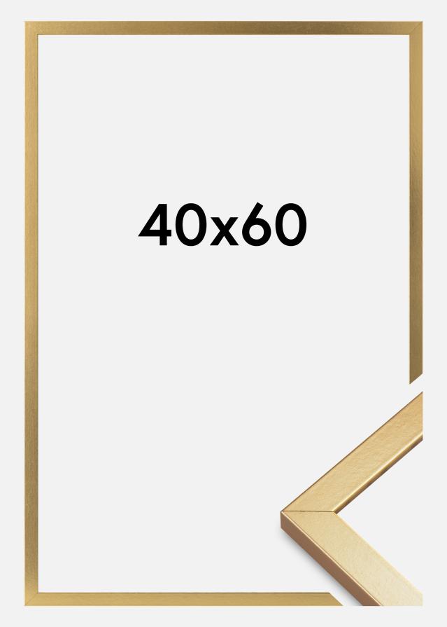 Raam Minerva Akruulklaas kuldne 40x60 cm