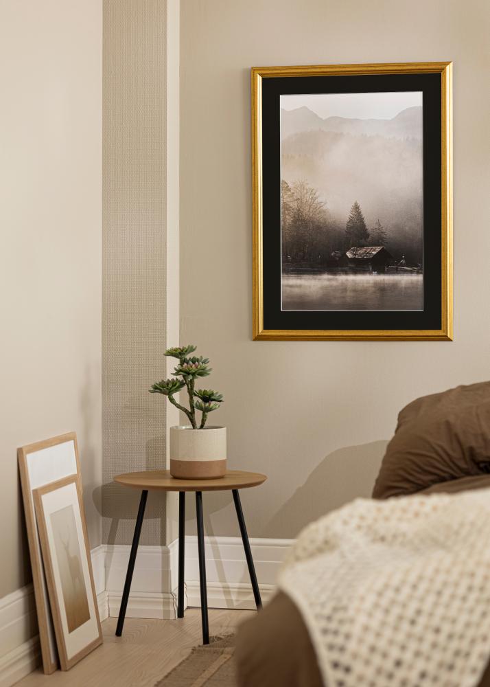 Raam Västkusten kuldne 40x100 cm - paspartuu muster 30x90 cm