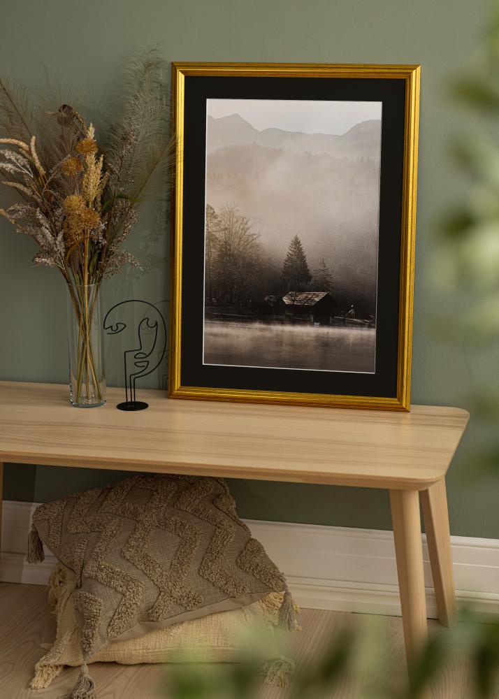 Raam Västkusten kuldne 40x100 cm - paspartuu muster 30x90 cm