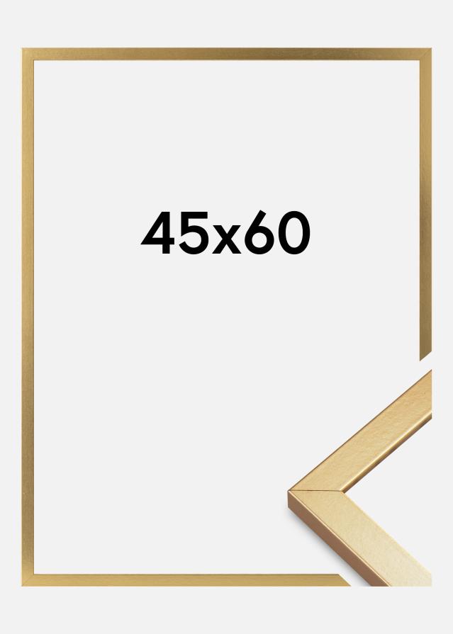 Raam Minerva Akruulklaas kuldne 45x60 cm