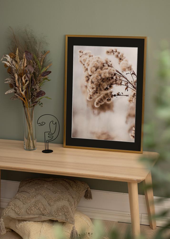 Raam Edsbyn kuldne 30x40 cm - paspartuu muster 8x12 inches