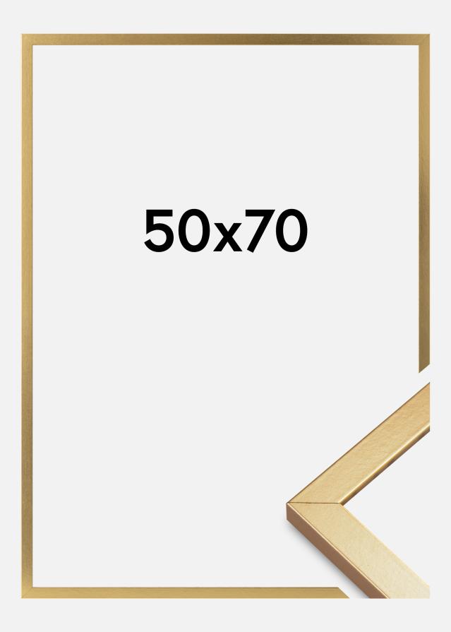 Raam Minerva Akruulklaas kuldne 50x70 cm