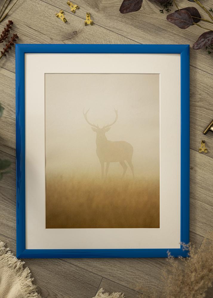 Raam Dorset sinine - Vabalt valitav suurus