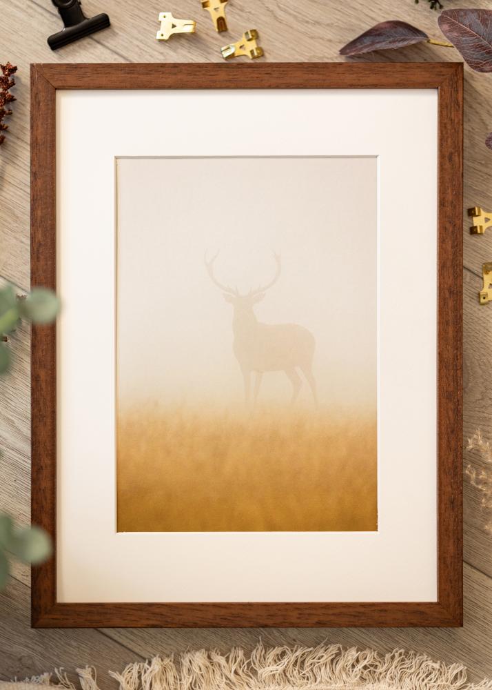 Raam Hermes Akruulklaas tiigipuu 28x35 cm