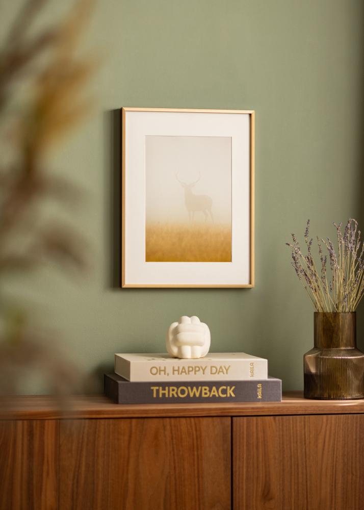 Raam Nielsen preemium Alpha harjatud merevaik - Vabalt valitav suurus