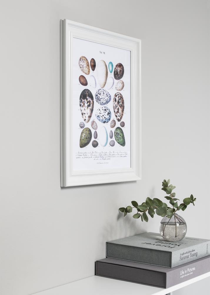 Raam Charleston valge 50x70 cm