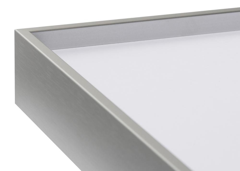 Raam Nielsen preemium Zenit matt hobedane - Vabalt valitav suurus