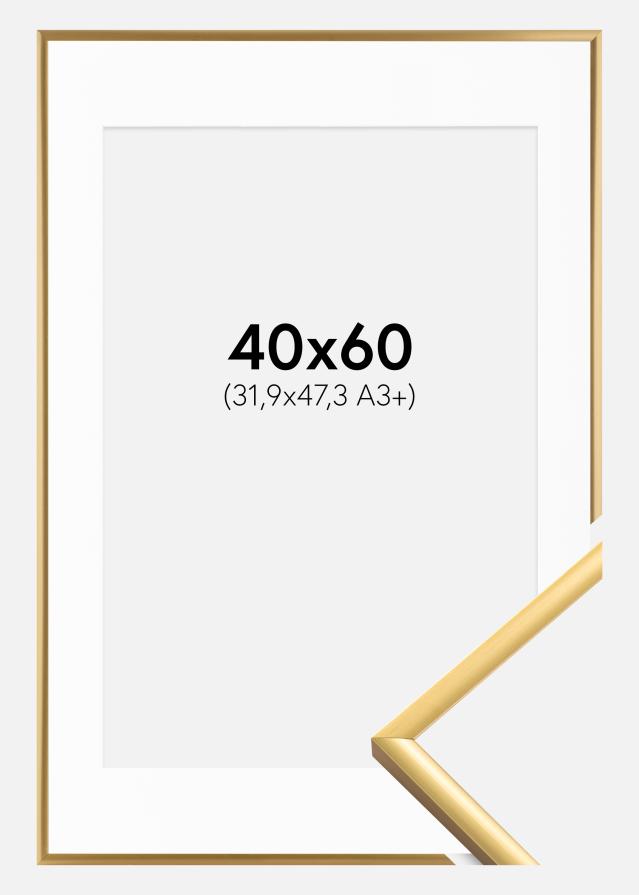 Raam New Lifestyle Shiny Gold 40x60 cm - paspartuu valge 32,9x48,3 cm (A3+)