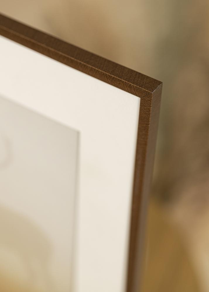 Raam New Lifestyle pronks 50x70 cm - paspartuu valge 40x60 cm