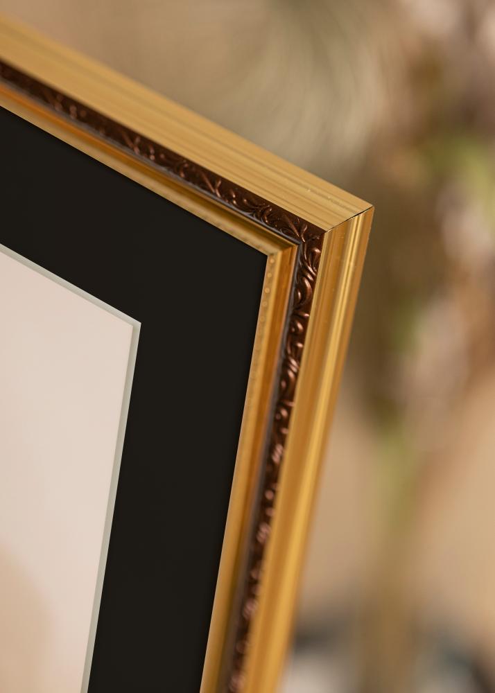 Raam Abisko kuldne 24x30 cm - paspartuu muster 18x24 cm