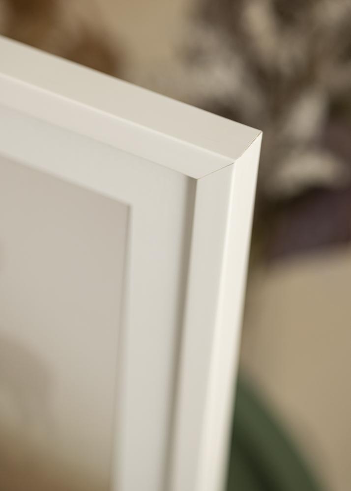 Raam eksklusiivne valge 60x80 cm