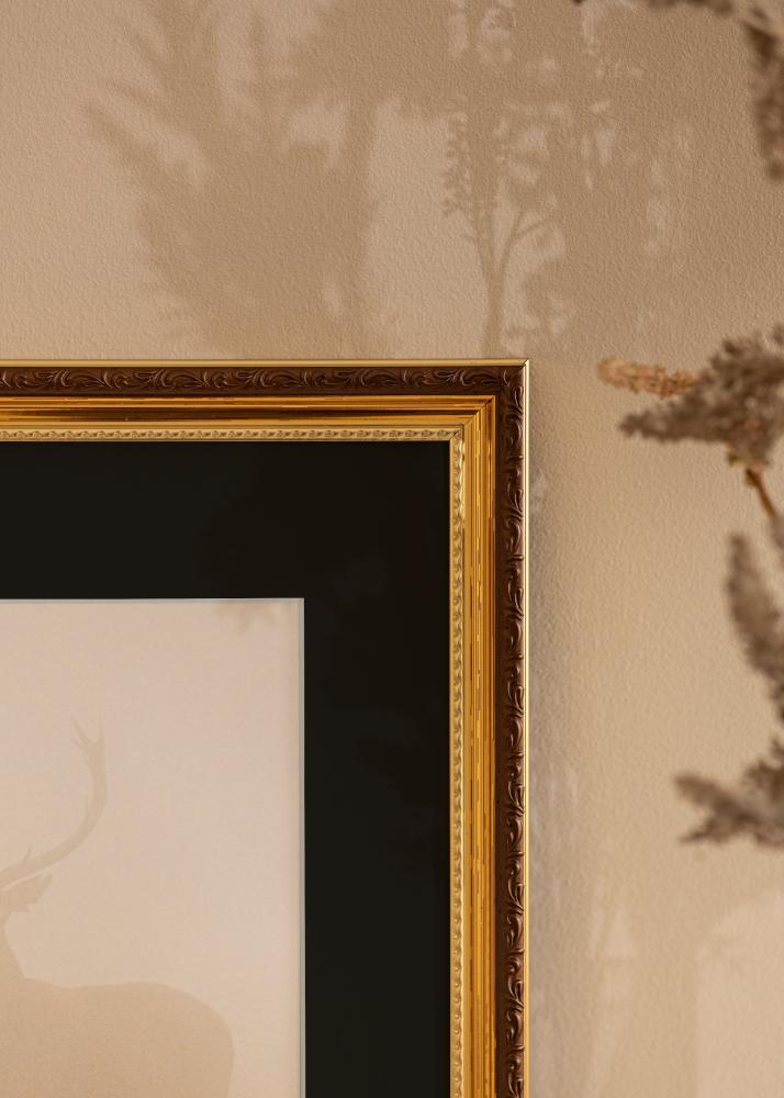 Raam Abisko kuldne 24x30 cm - paspartuu muster 18x24 cm