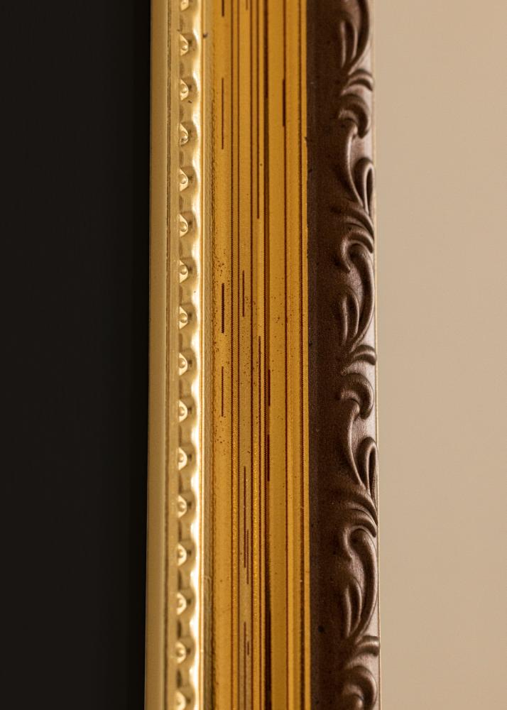 Raam Abisko kuldne 24x30 cm - paspartuu muster 18x24 cm