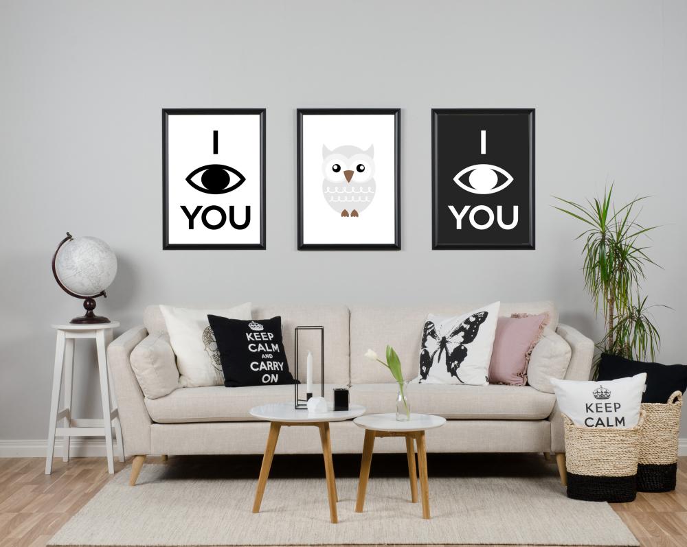 Ookull uksik - uduhall Plakat