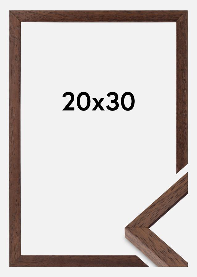 Raam Ares Akruulklaas tiigipuu 20x30 cm