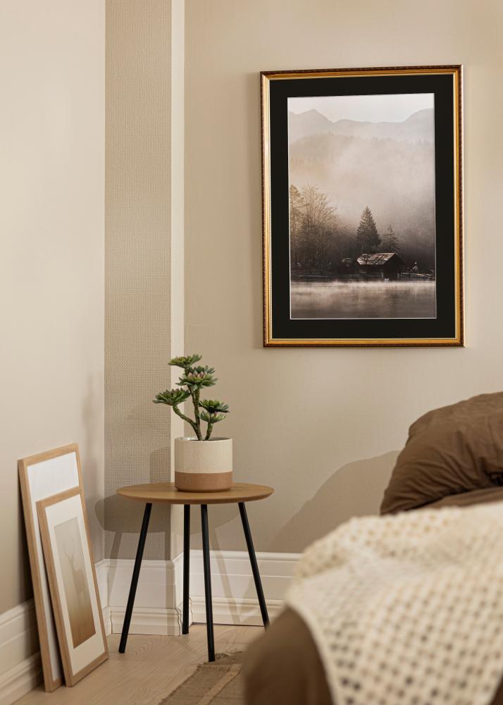 Raam Abisko kuldne 24x30 cm - paspartuu muster 18x24 cm