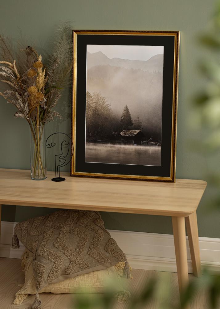 Raam Abisko kuldne 24x30 cm - paspartuu muster 18x24 cm