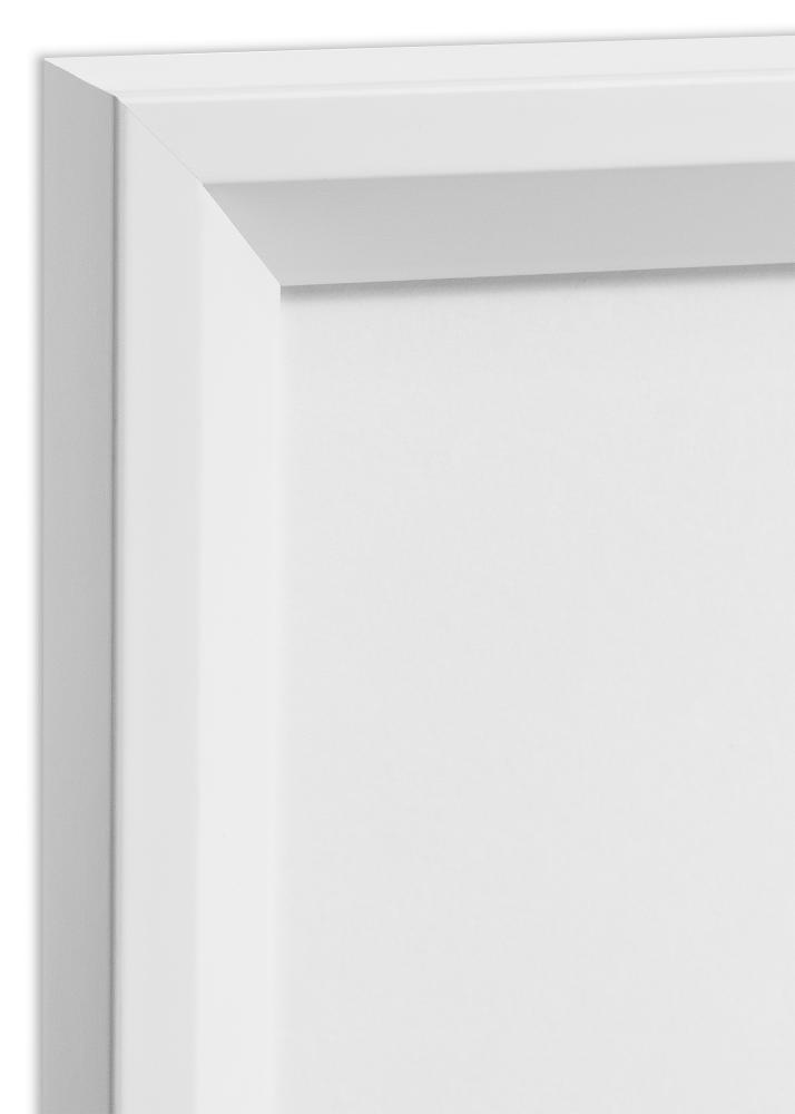 Raam Globe valge 40x60 cm - paspartuu valge 32,9x48,3 cm (A3+)