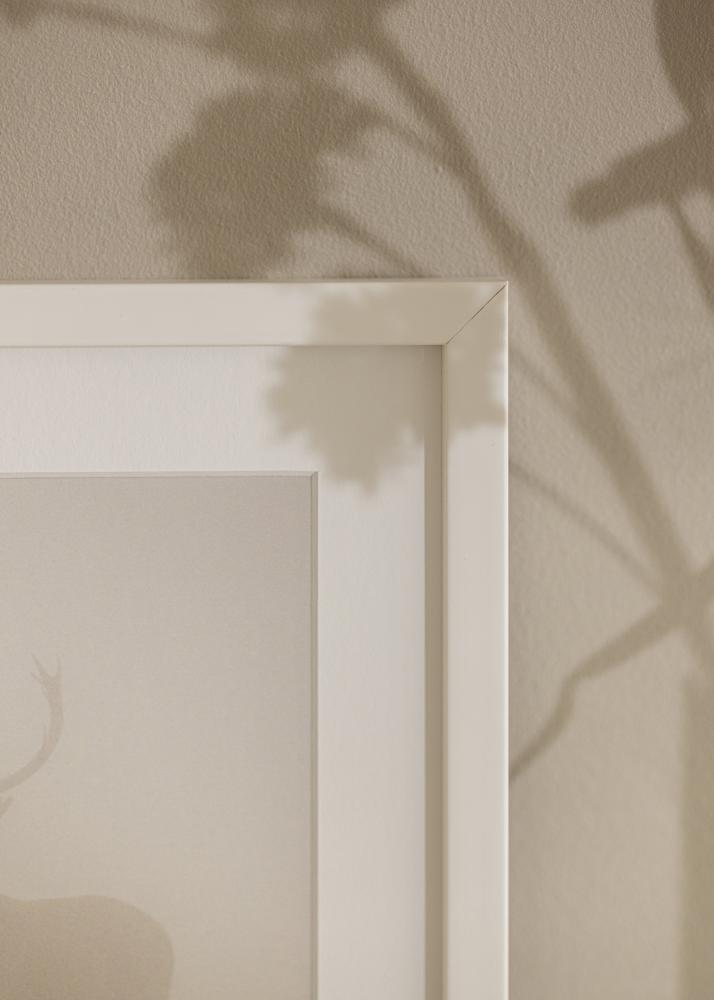 Raam eksklusiivne valge 60x80 cm