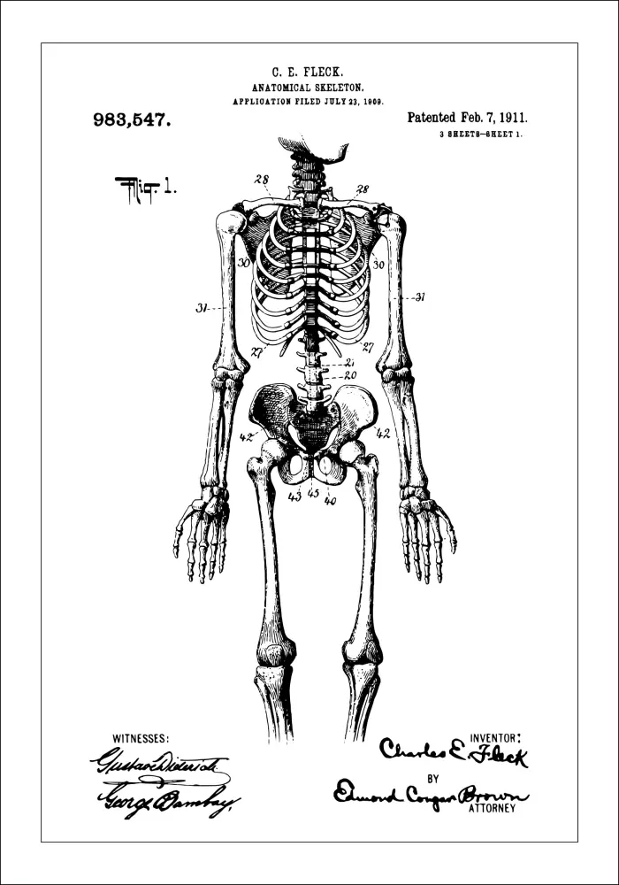 Patenteeritud joonistus - anatoomiline skelett sees Plakat