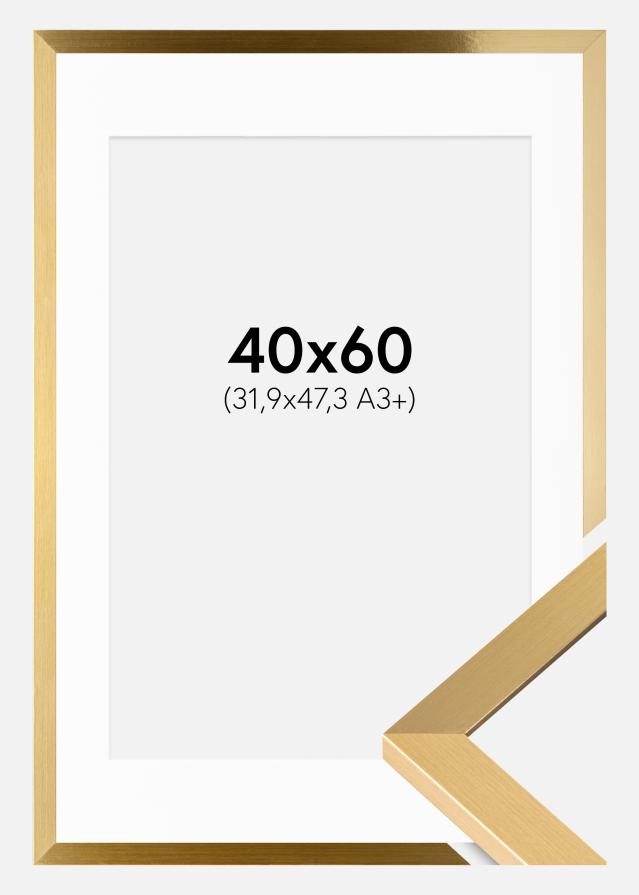 Raam Selection kuldne 40x60 cm - paspartuu valge 32,9x48,3 cm (A3+)