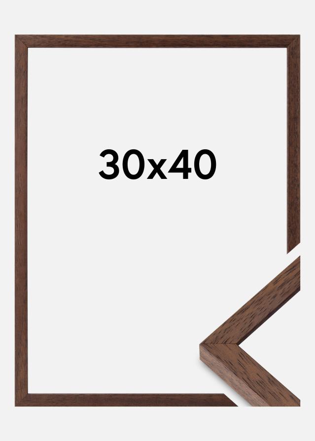 Raam Ares Akruulklaas tiigipuu 30x40 cm