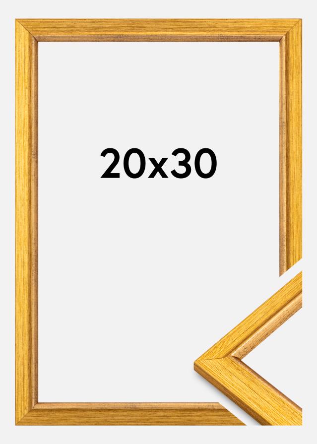 Raam Marisa Akrüül Klaas Kuld 20x30 cm