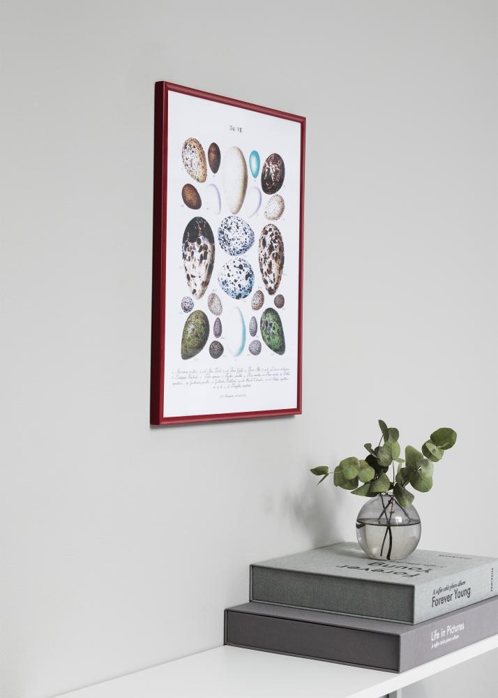 Raam New Lifestyle punane 42x59,4 cm (A2) - paspartuu valge 25x38 cm