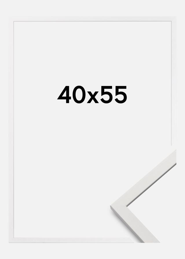 Raam Edsbyn Akruulklaas valge 40x55 cm