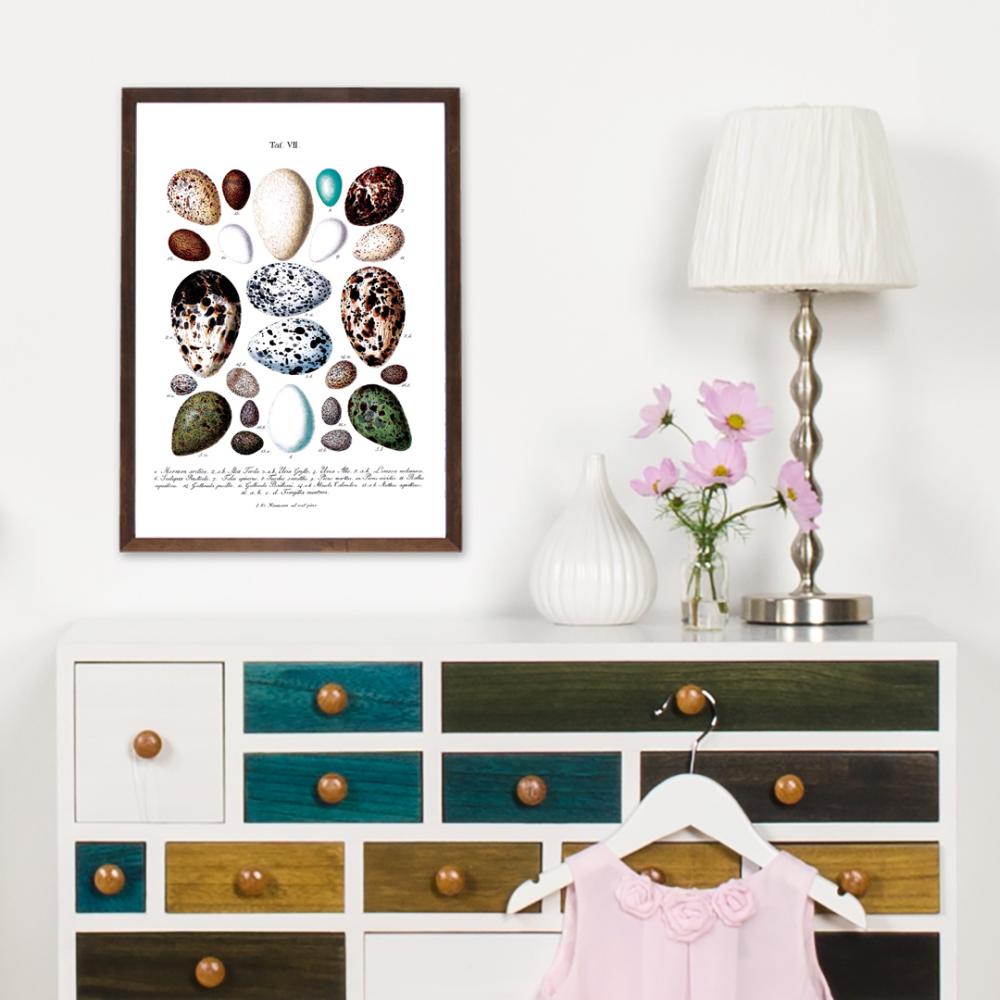 Linnumunadega poster Plakat