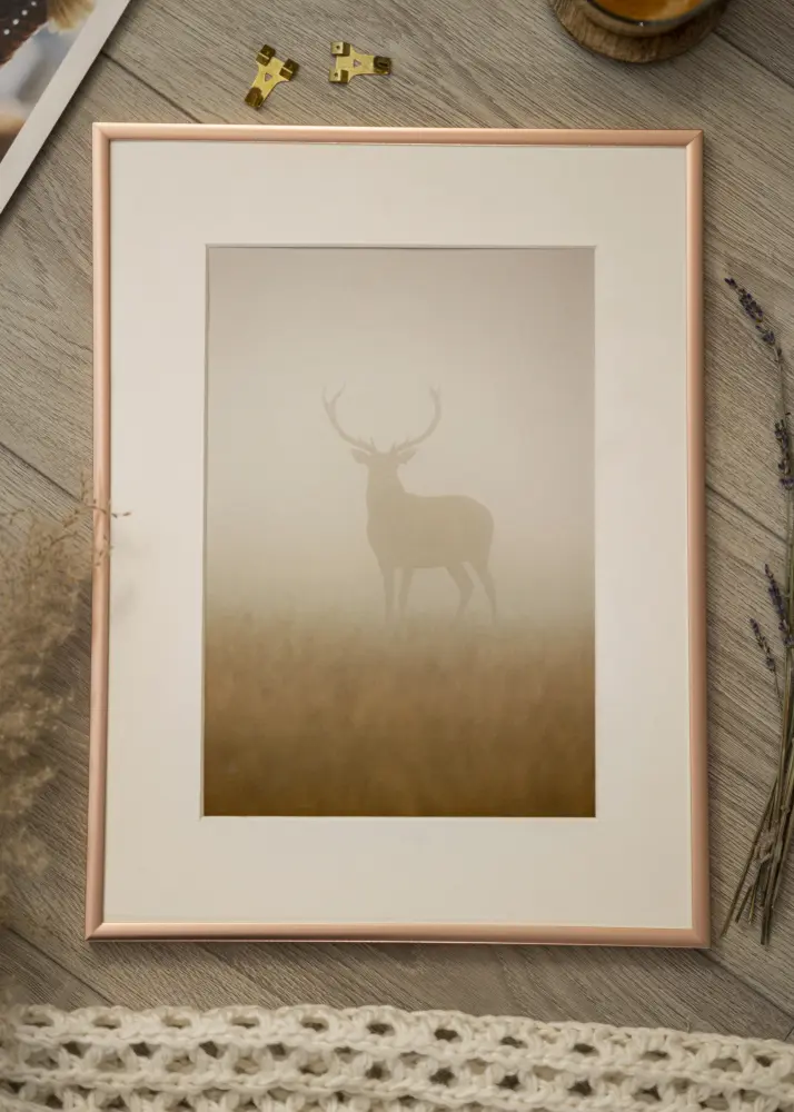 Raam Scandi roosakas kuldne 30x40 cm - paspartuu valge 21x29,7 cm (A4)