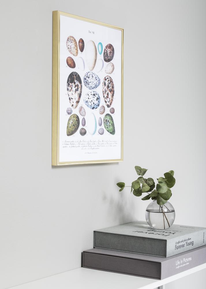 Raam Nielsen preemium Classic kuldne 70x100 cm