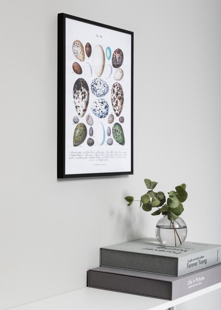 Raam Nielsen preemium Classic matt must 60x80 cm