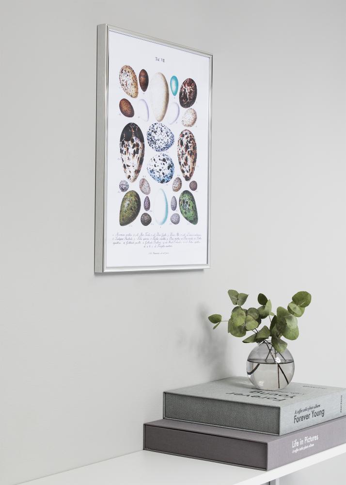 Raam Nielsen preemium Classic hobedane 60x80 cm