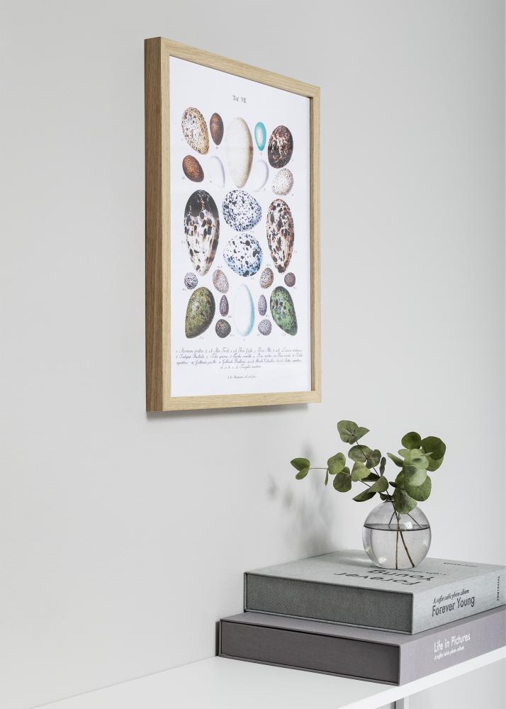 Raam Nielsen preemium Quadrum tamm 50x60 cm