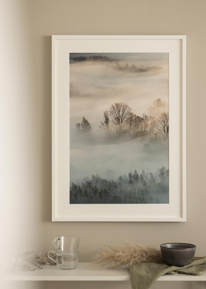 Raam eksklusiivne valge 60x80 cm